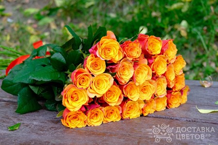 Букет из 25 роз "Розы Испания"